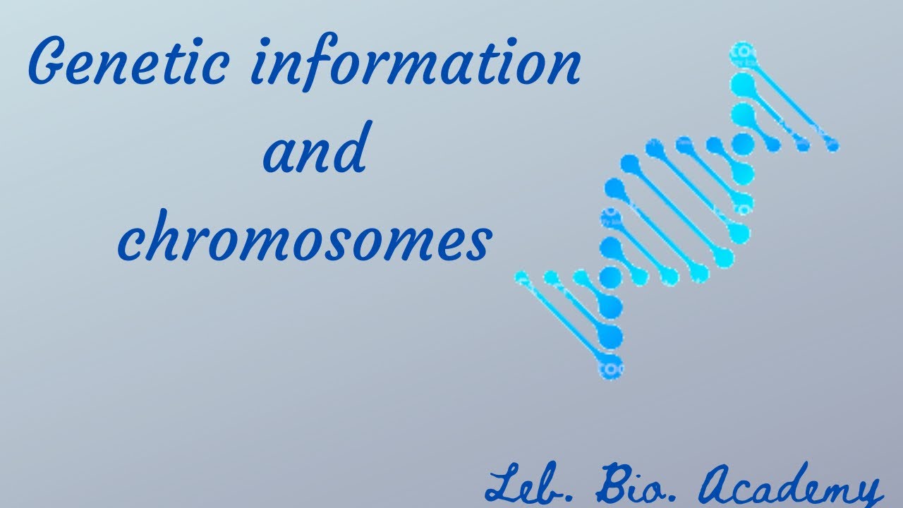 Chromosomes are the carriers of genetic information- G 9