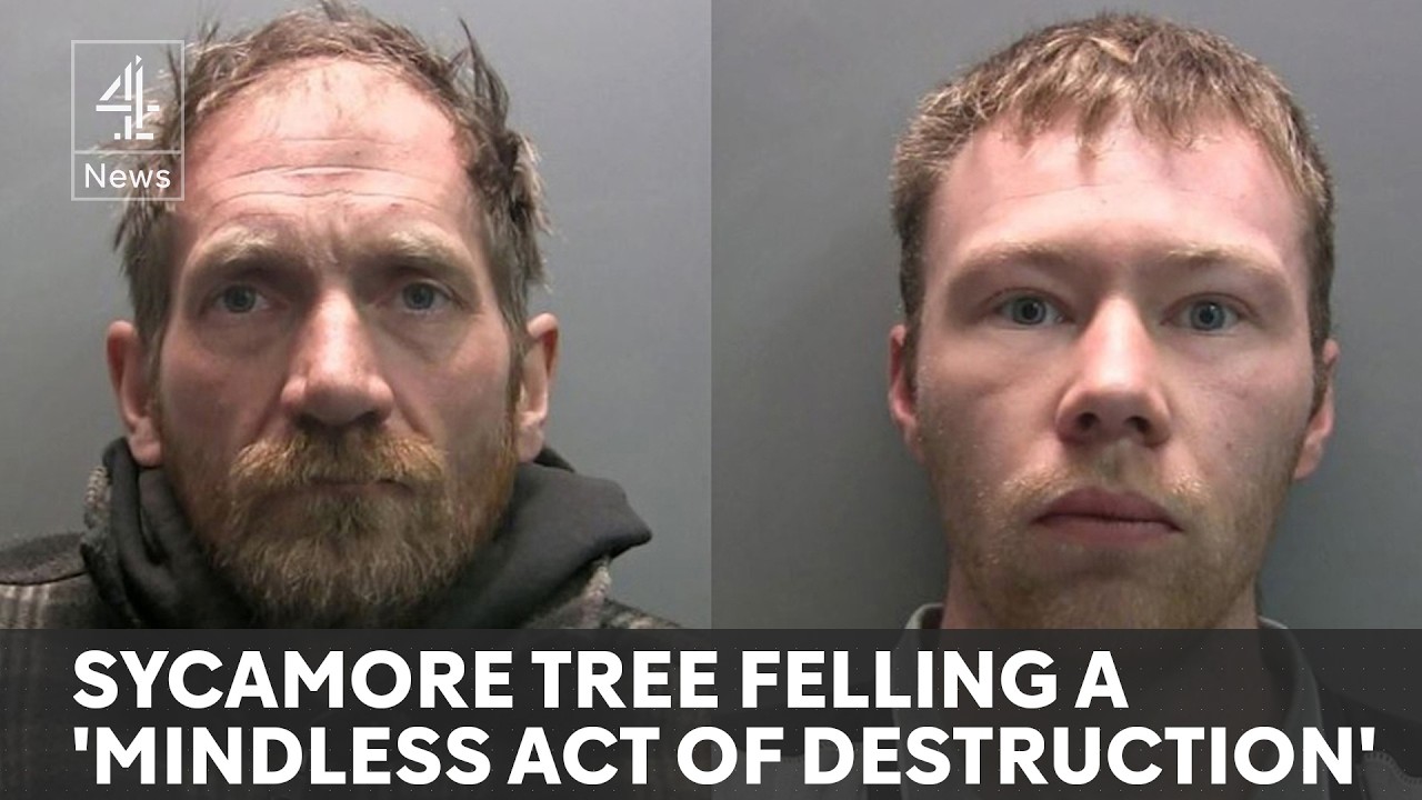 Two men found guilty of chopping down Sycamore Gap tree