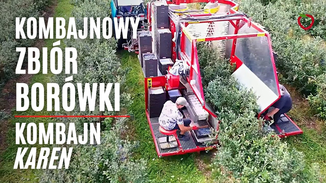 Kombajnowy zbiór borówki - kombajn Karen (Mechanical blueberry harvesting - Karen harvester)