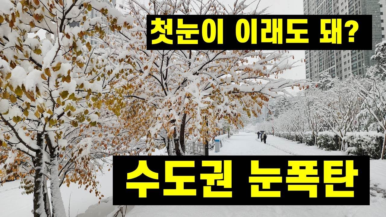지금 수도권에는 눈 폭탄이....올해 눈 구경은 이걸로 끝!!!