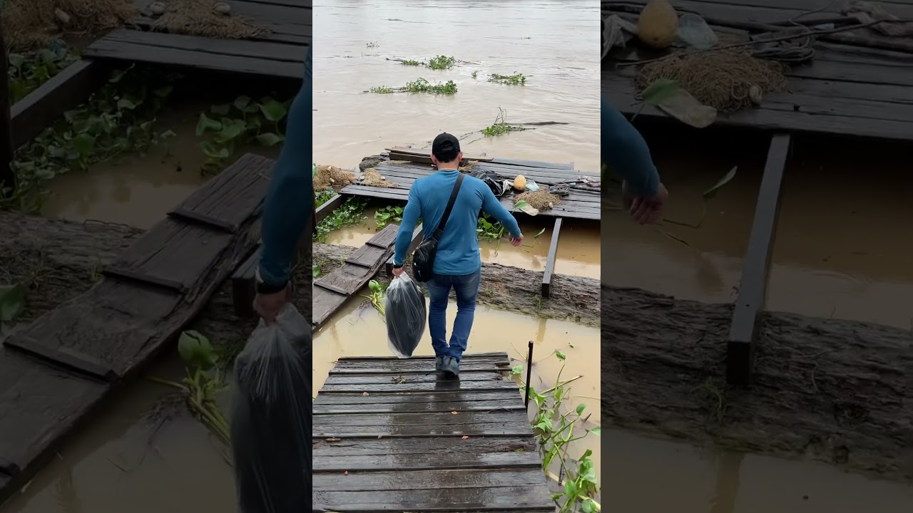 Rio Purus no Amazonas #amazonia #pescaria
