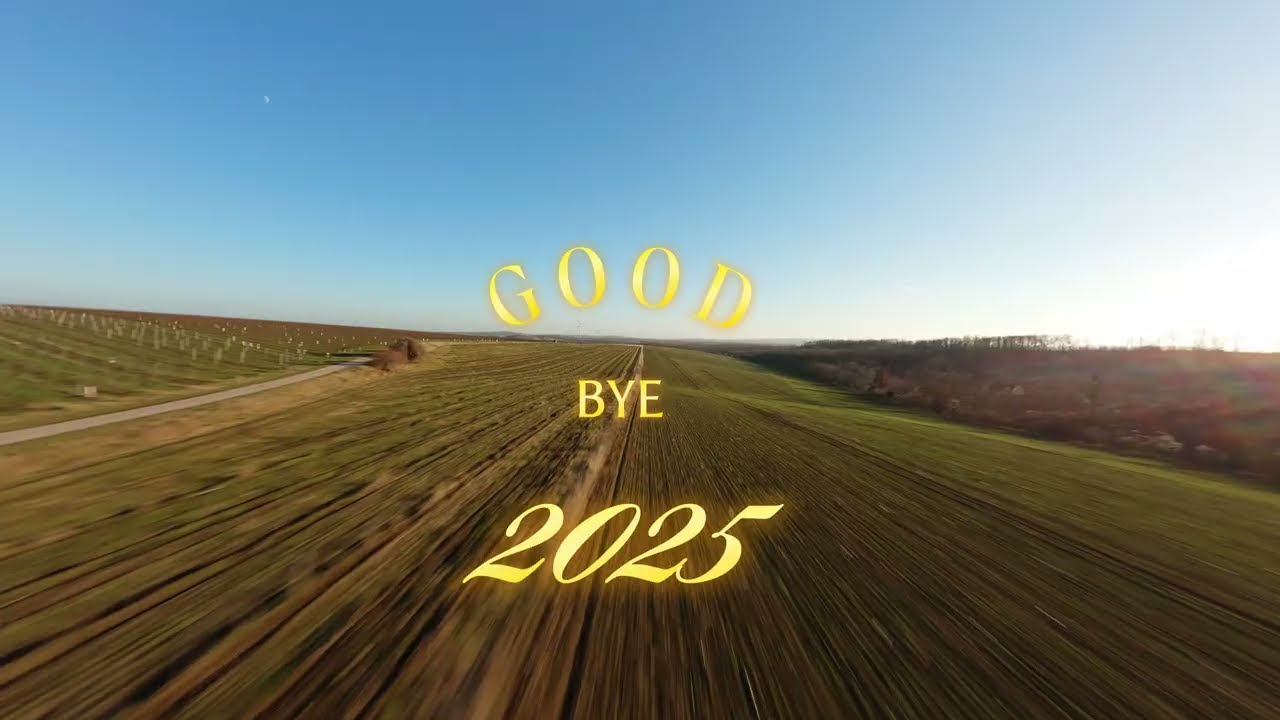 GoodBye2025