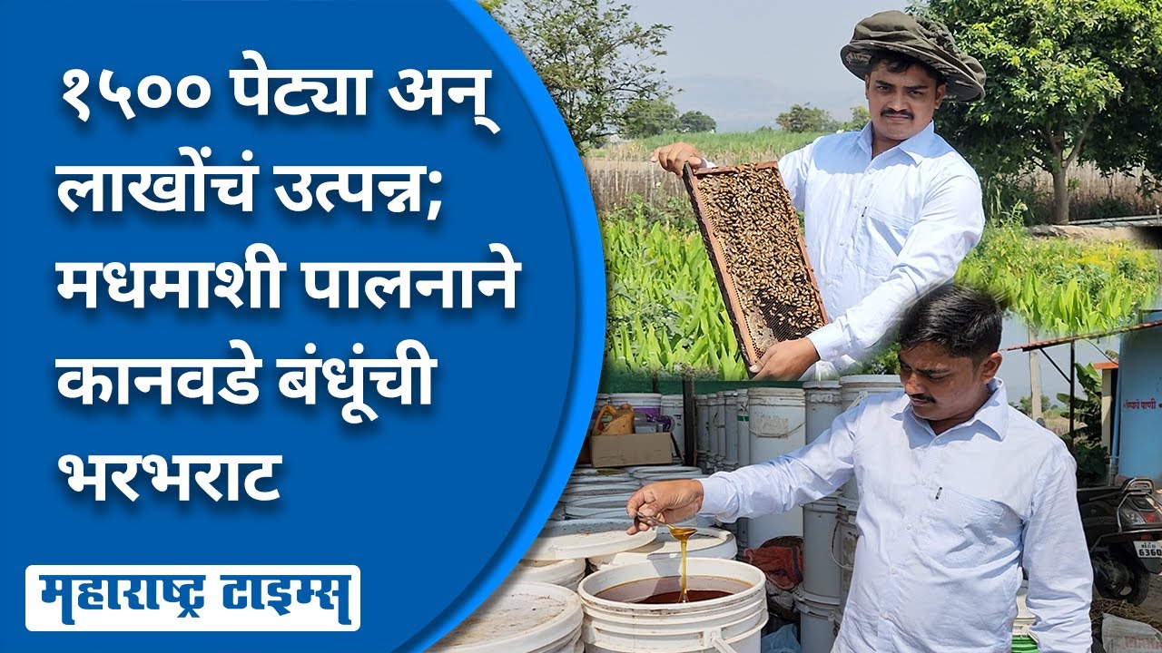 Madhmashi Palan Success Story | मधमाशी पालनातून कानवडे बंधूंची भरभराट,वर्षाकाठी ४० लाखांचा टर्नओव्हर