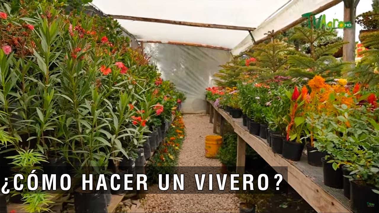 Cómo hacer un vivero - TvAgro por Juan Gonzalo Angel Restrepo