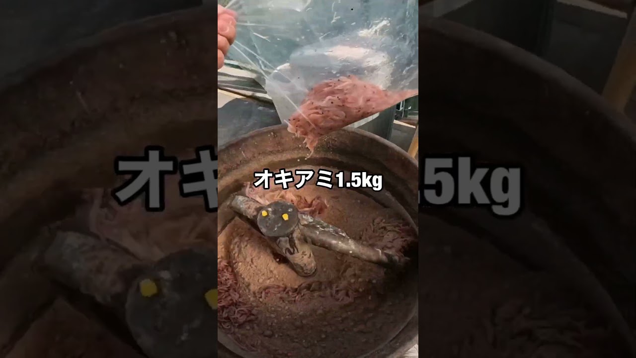 安くて釣れる撒き餌の作り方　
