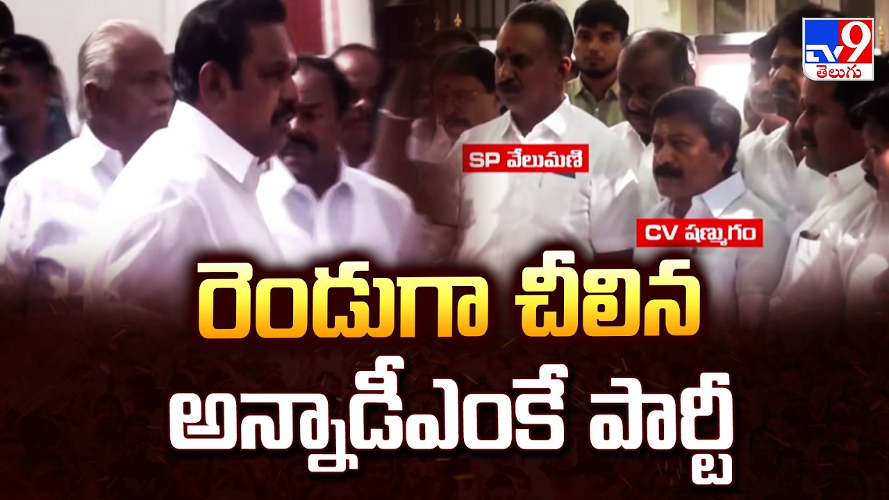 రెండుగా చీలిన అన్నాడీఎంకే పార్టీ | AIADMK Splits Into Two Factions Amid Internal Crisis -TV9
