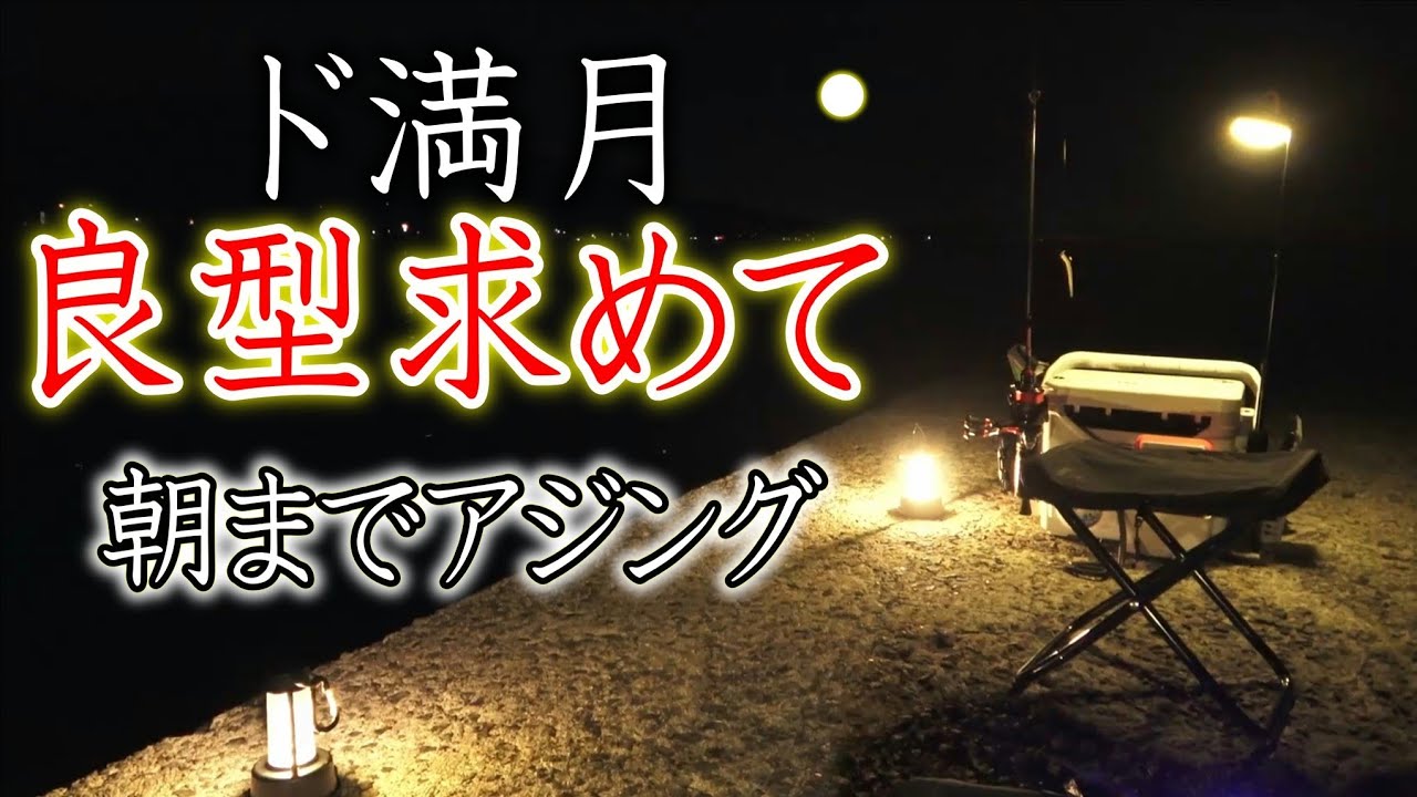 【アジング】ド満月、良型求めて三千里