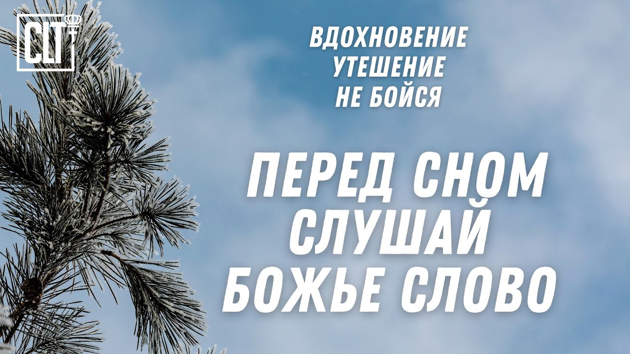 Это утешение в бедствии моем, что слово Твое оживляет меня #Библия