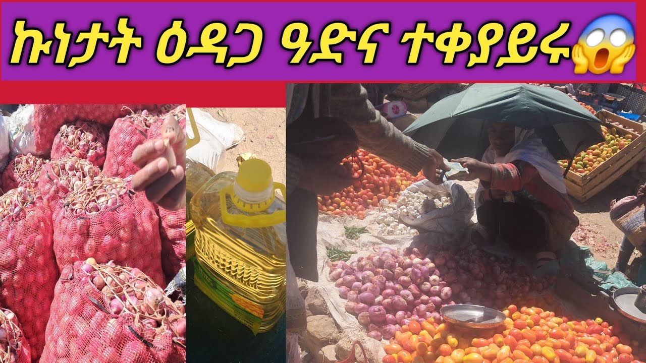 ኩነታት ዕዳጋ ትግራይ |8 February 2026|