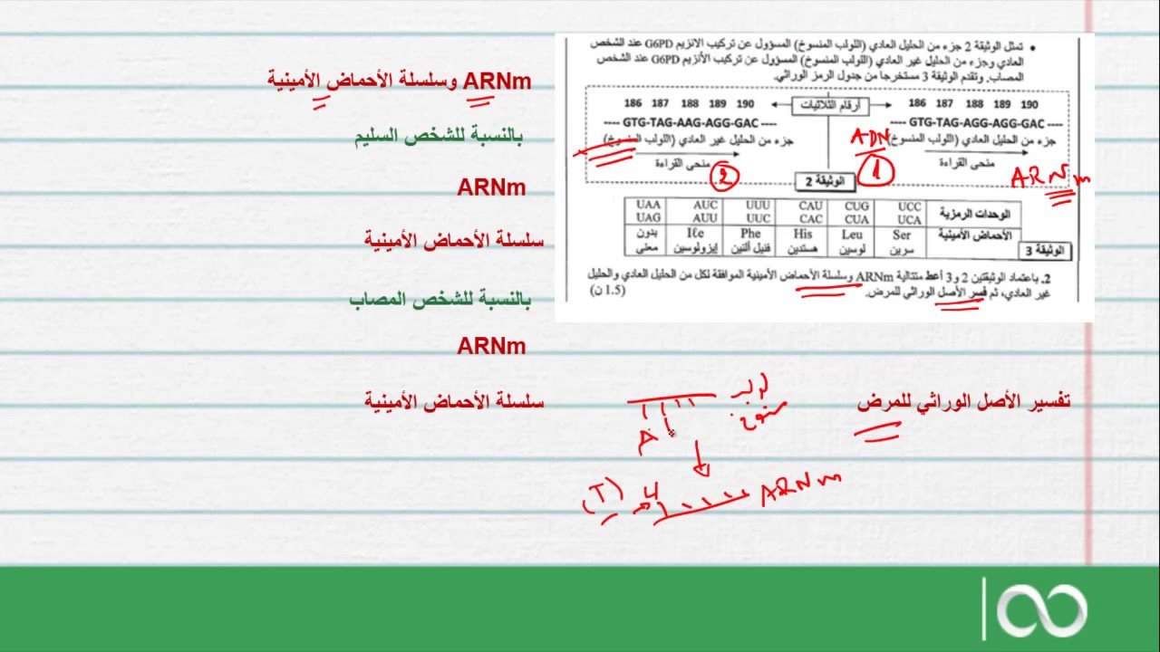 ثانية باكالوريا علوم الحياة و الارض | تمرين في تركيب البروتينات (تعبير الخبر الوراثي)