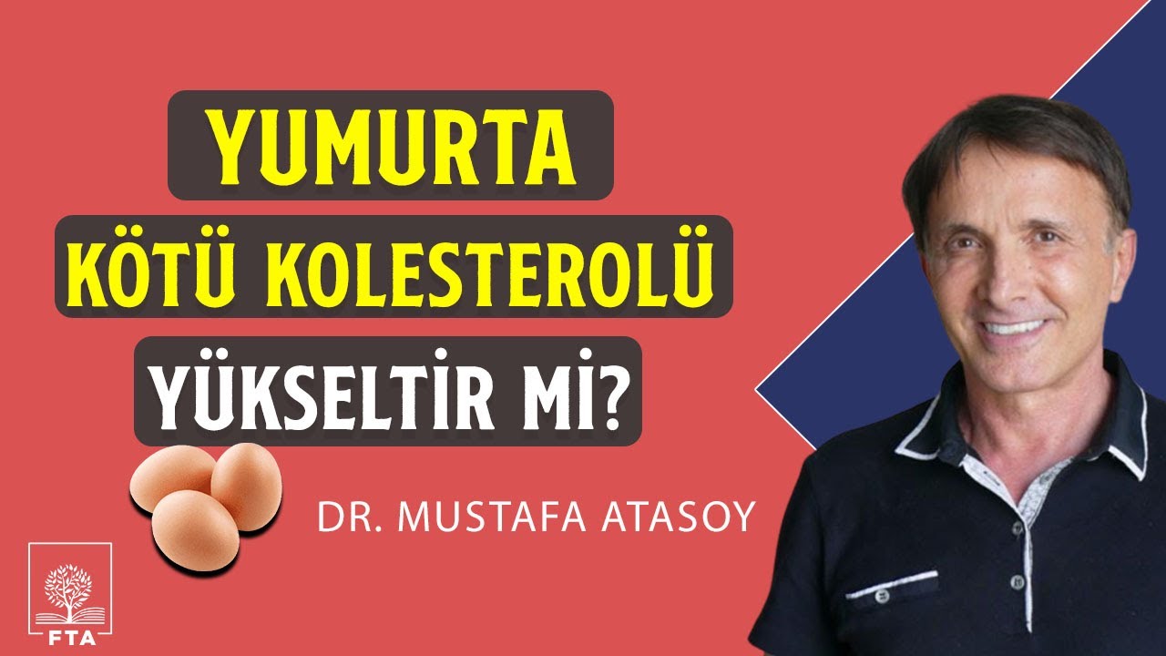 Yumurta Kötü Kolesterolü Yükseltir Mi?