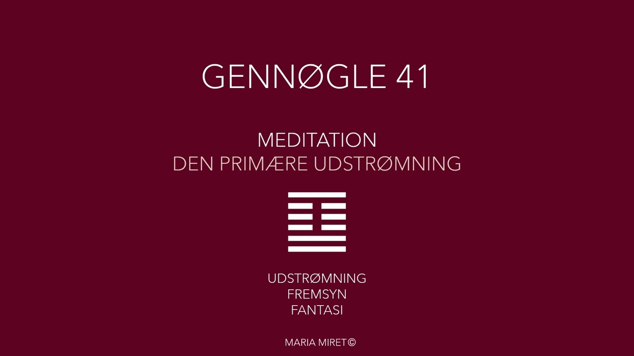 Gennøgle 41