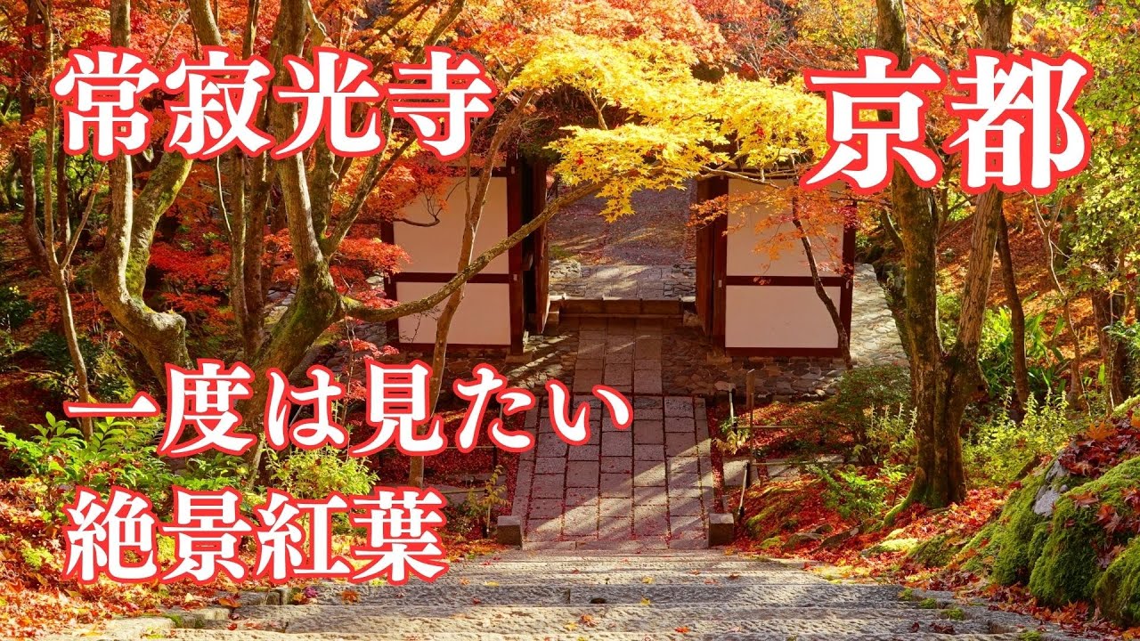 【京都紅葉】一度は見たい紅葉名所 常寂光寺 京都観光 風景写真/ Jojakkoji Temple autumn leaves in Kyoto Japan#京都紅葉 #常寂光寺