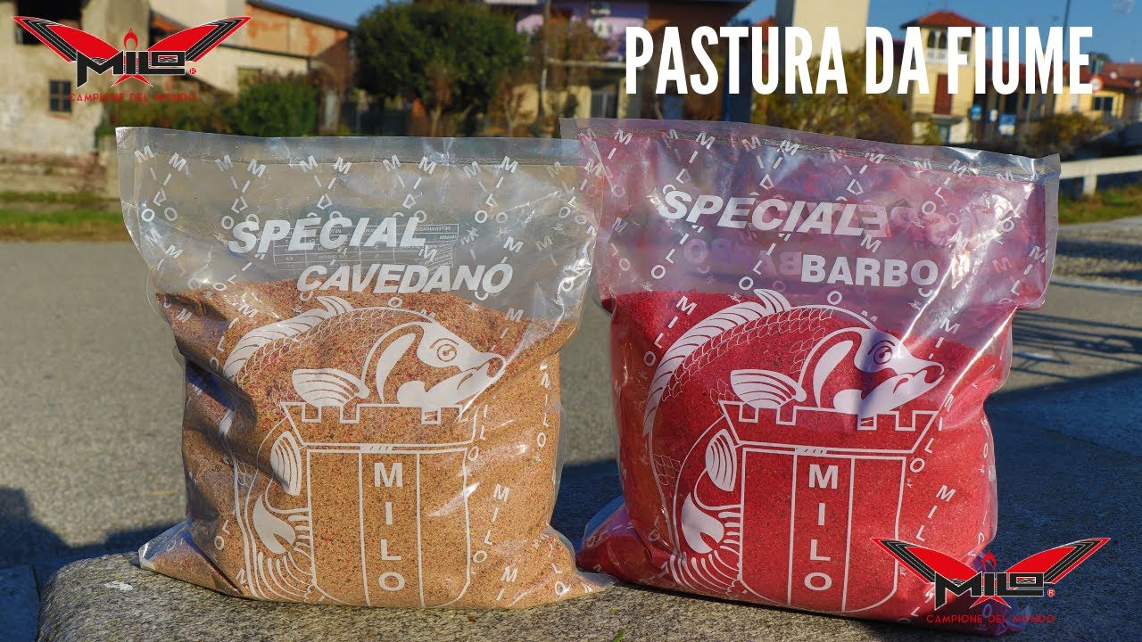 MILO TV - Pastura da Fiume per Barbi e Cavedani