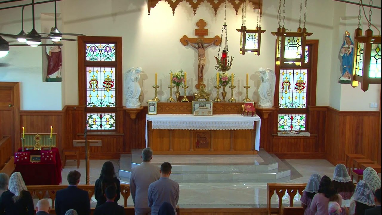 Twenty Second Sunday after Pentecost -  9th November 2025