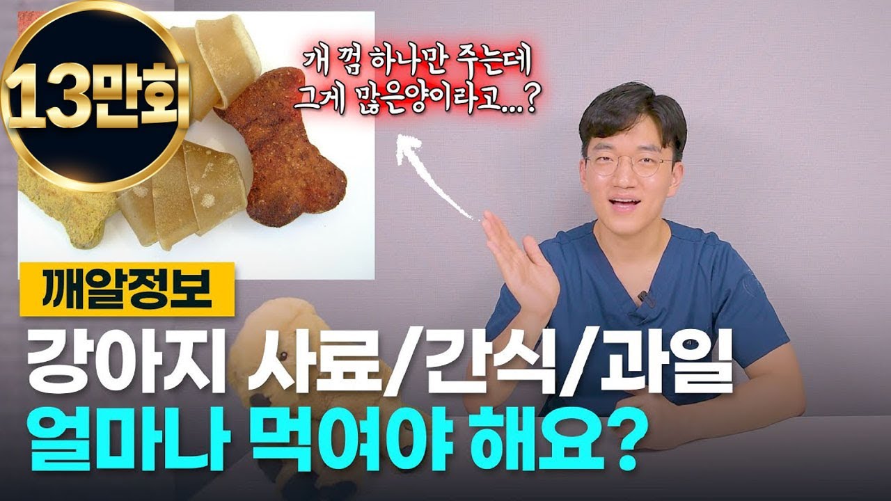 강아지 사료량, 간식량의 황금 비율은? (간식 먹이기전에 꼭 시청해주세요)