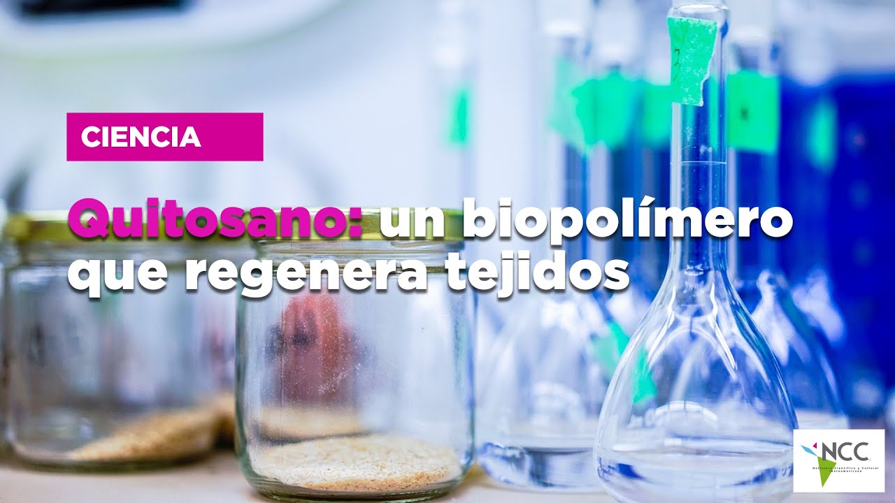 Quitosano: un biopolímero que regenera tejidos