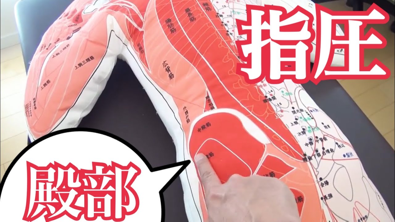 【おしりは宝山】殿部のツボ指圧ポイント 腸骨のキワ 中殿筋