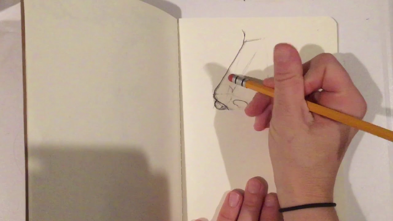 Drawing a Nose 3/4 View