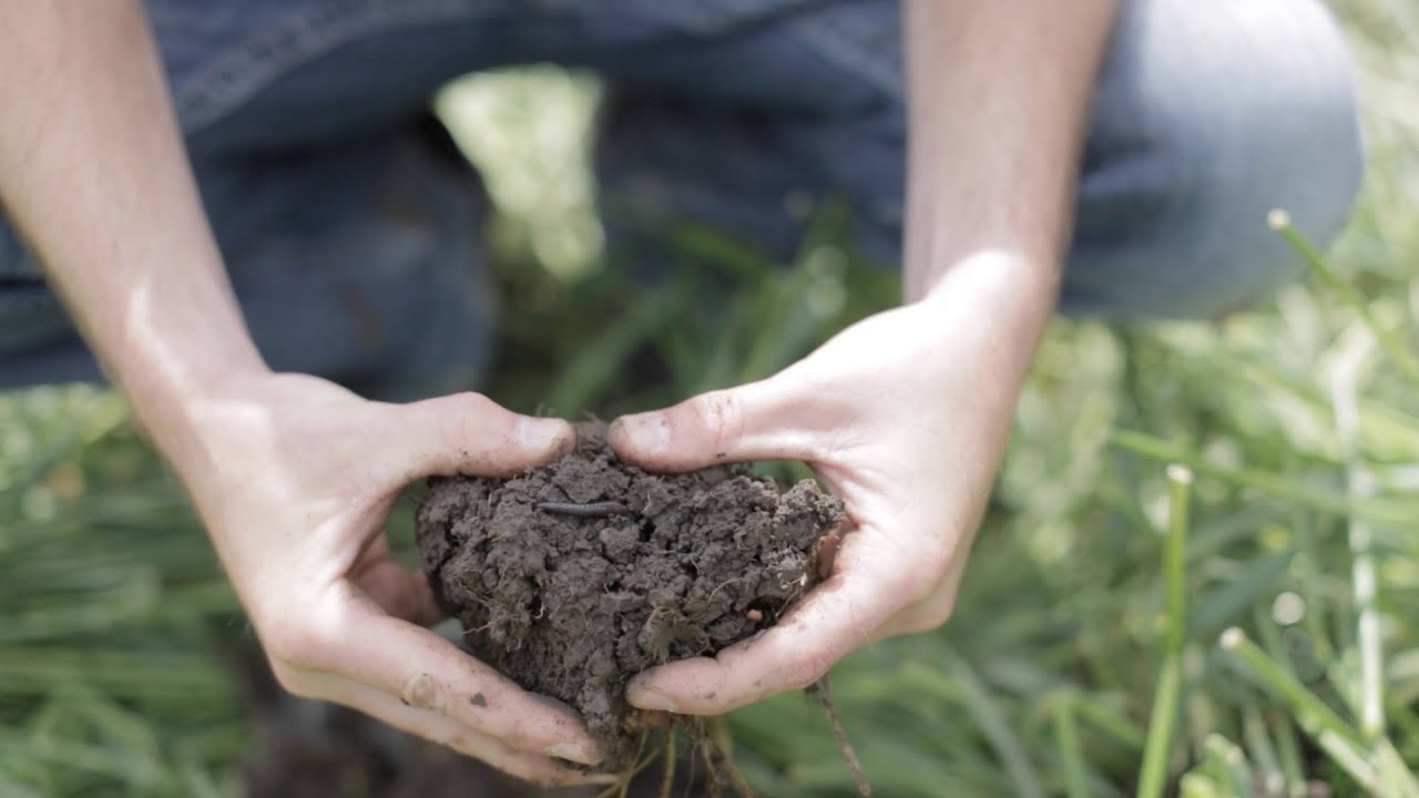 Cover Crop Case Study - Episode 5: Soil Biology