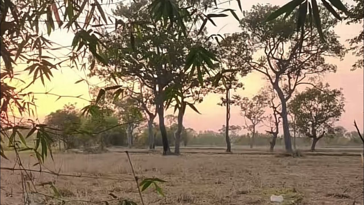 Thuyết Pháp : Viết Lại Cuộc Đời ( Giới Hạnh ) ( 20/1/2026 ).