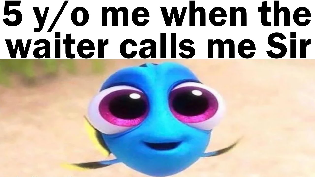 Wholesome Memes To Brighten Your Day