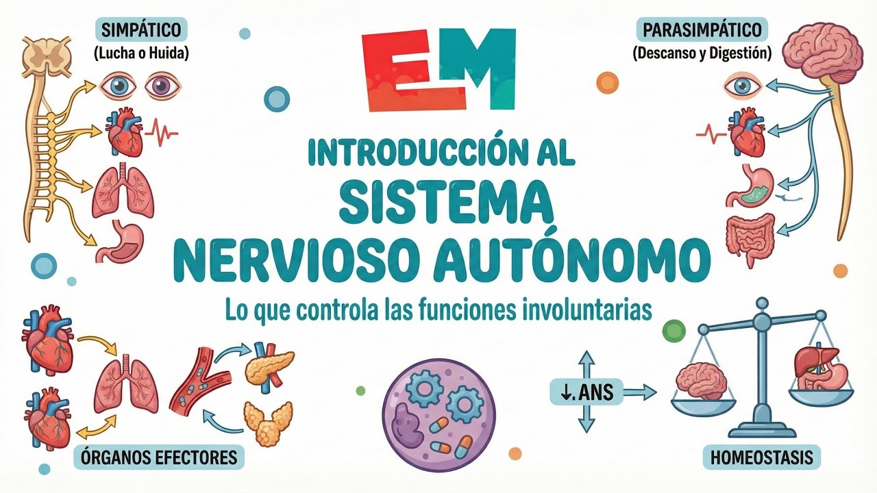 Introducción al SNA | Farmacología 1 | EntiendeMedicina