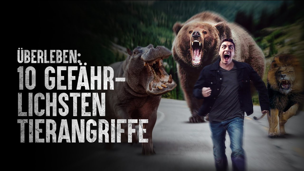 Wie überlebt man die 10 gefährlichsten Tierangriffe