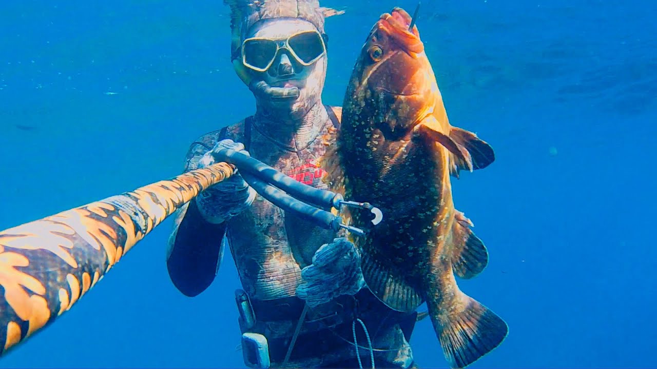 Pesca sub Sardegna: Pescatona post mareggiata...Cernia, Spigola e Saraghi