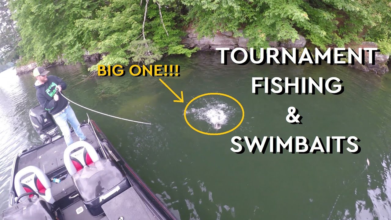 DRT Klash 9 a TOURNAMENT SWIMBAIT!?!?!