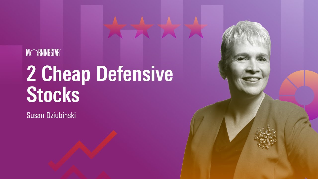 2 Cheap Defensive Stocks