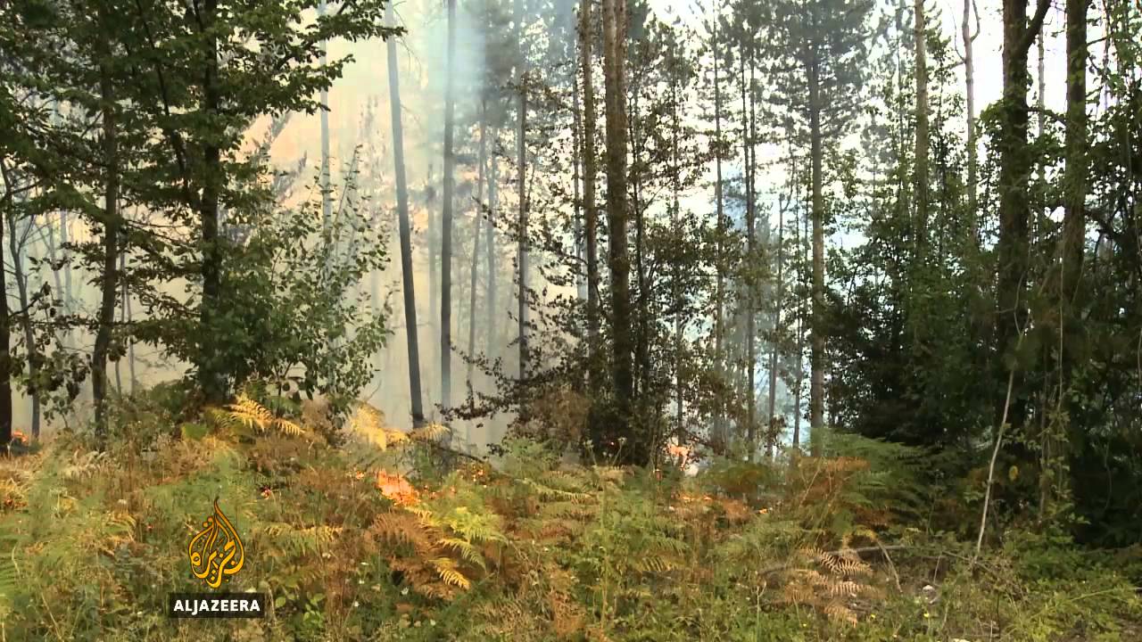 Požar u minskom polju u BiH