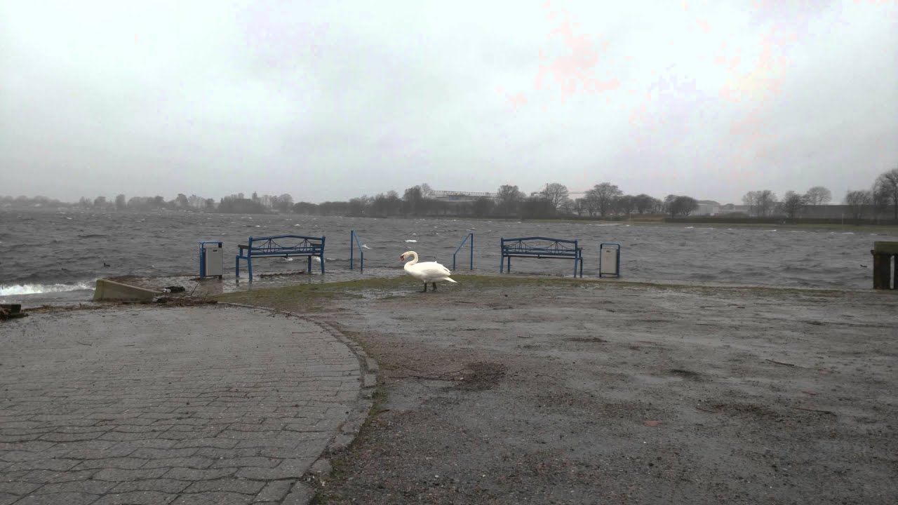 Nexus 6 4K Videoqualit&auml;t und Bildstabilisator Sample | InstantMobile