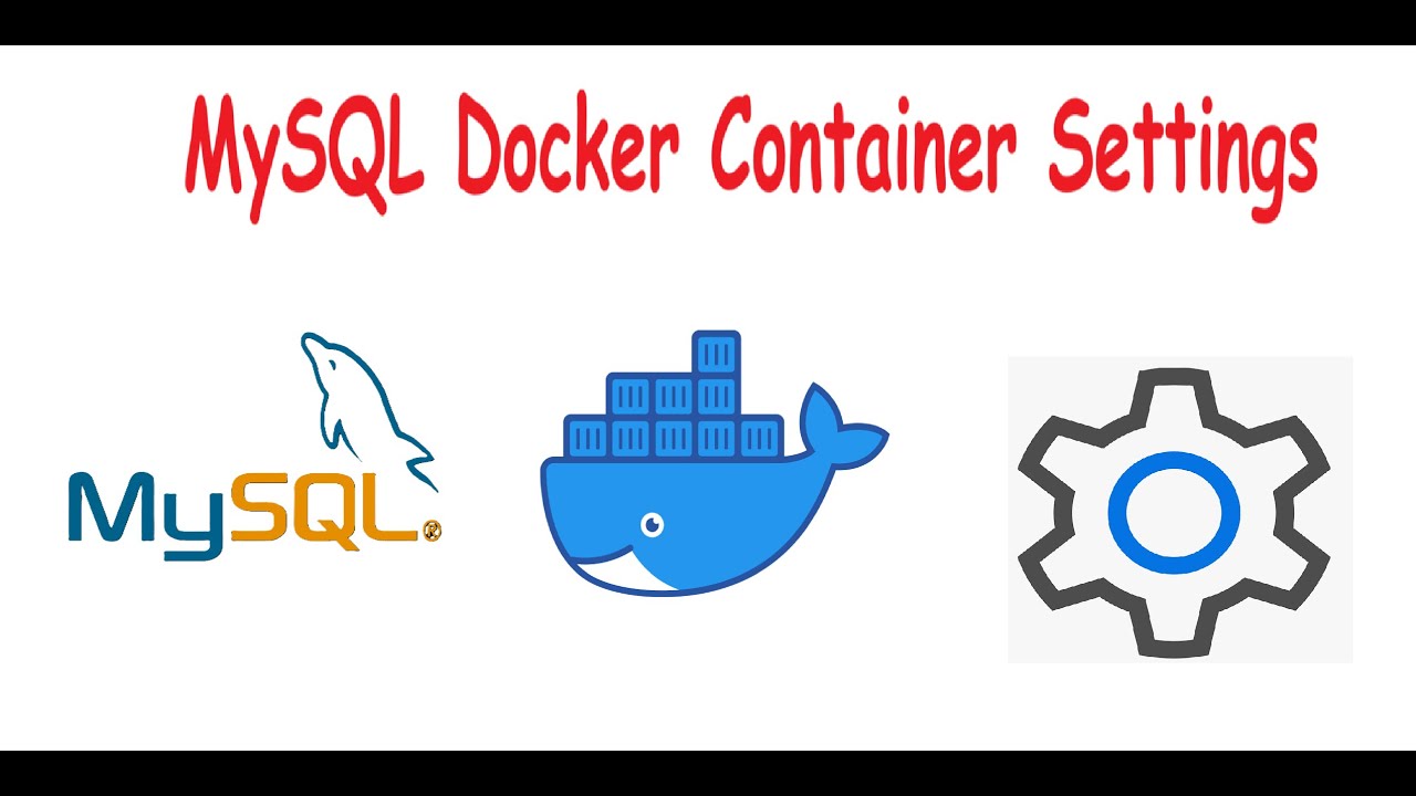 How to configure mysql docker container!#pythonprogramming #docker #mysql