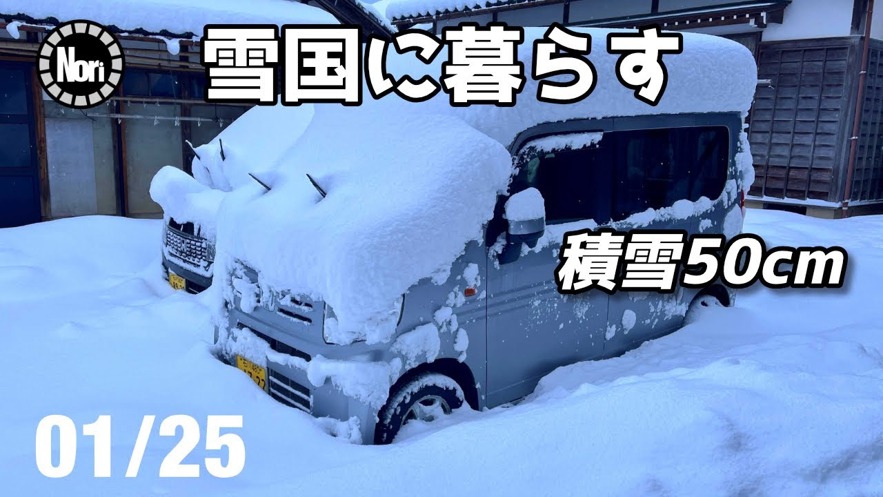 【大雪のリアル】一晩で50cmの積雪。いちじく農家の冬の朝はこうして始まります