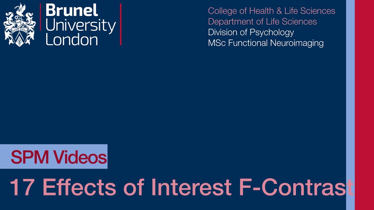 SPM Tutorial 17 - Effects of Interest F Contrast