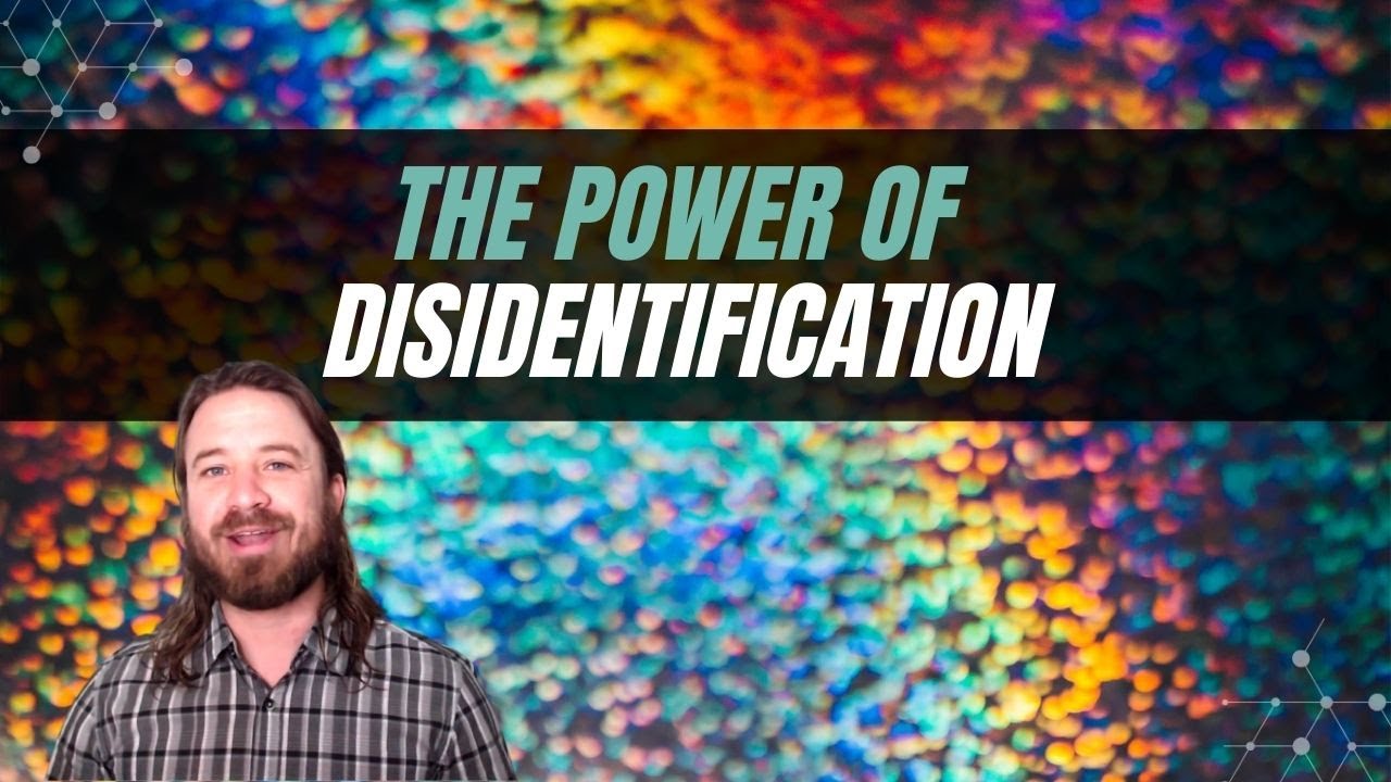 The Power of Disidentification