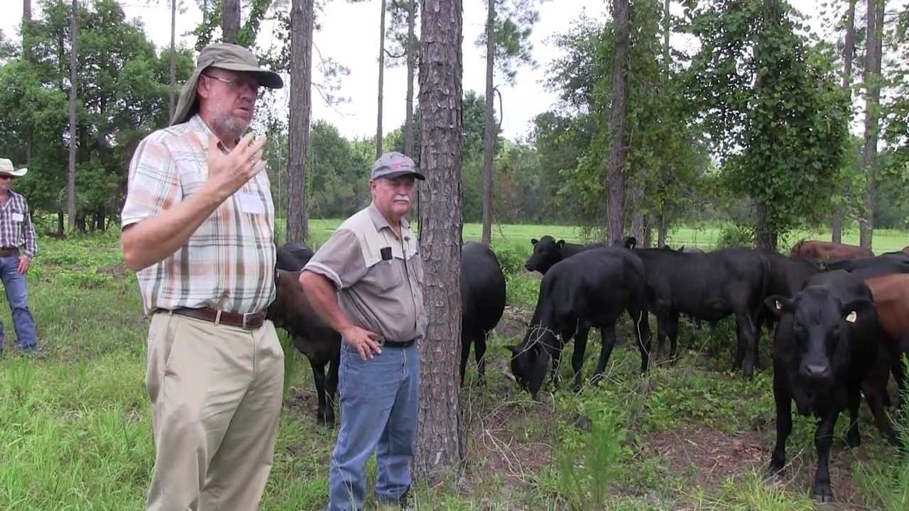 Sustainable Ranching, Day 1 Part 6