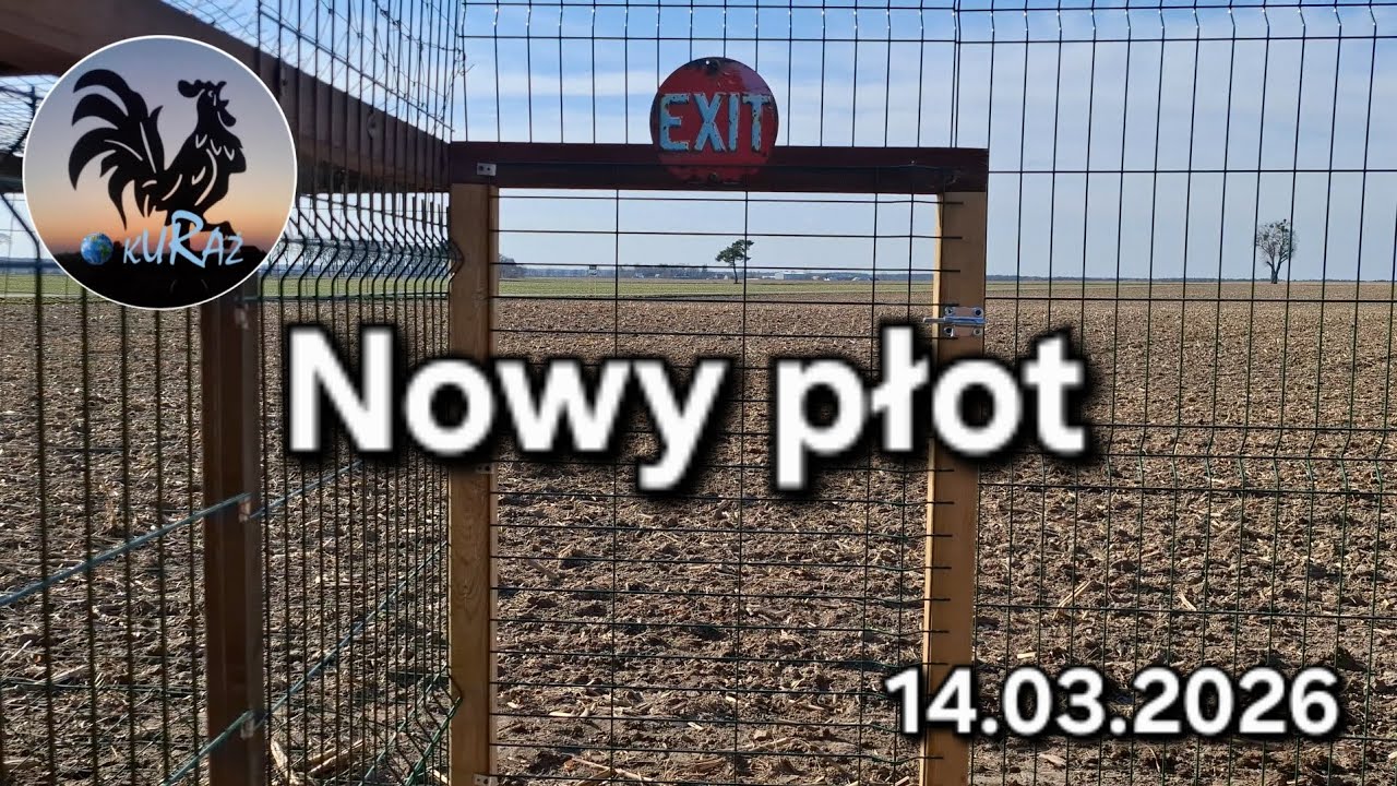  Kury mają nowe ogrodzenie * 14.03.2026