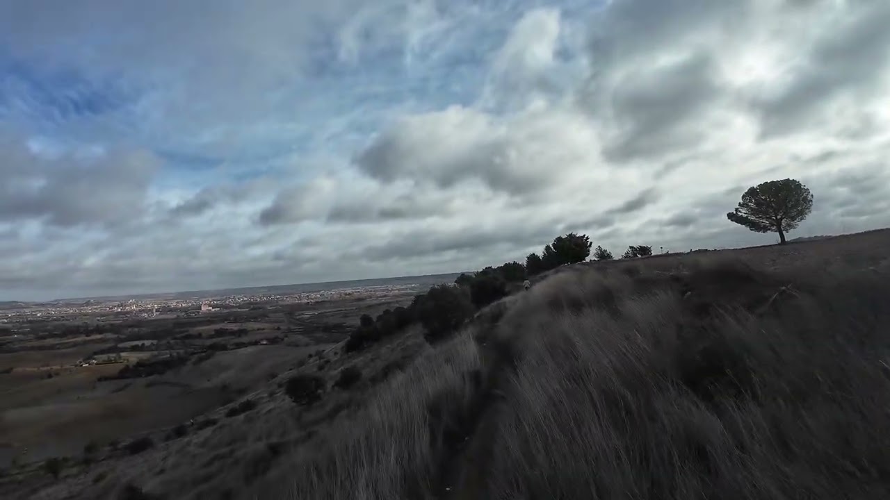 Palencia Trail Race 25 January 2026
