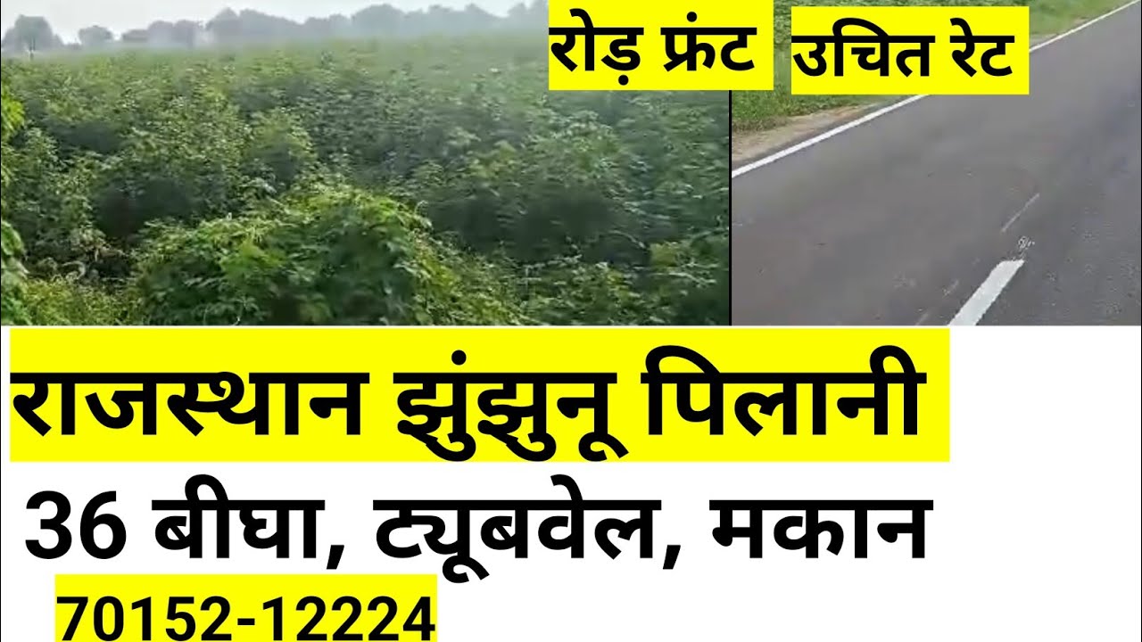 राजस्थान की सस्ती जमीन । 36 बीघा ट्यूबवेल मकान रोड़ फ्रंट  झुंझुनू पिलानी क्षेत्र। #bikaujameen