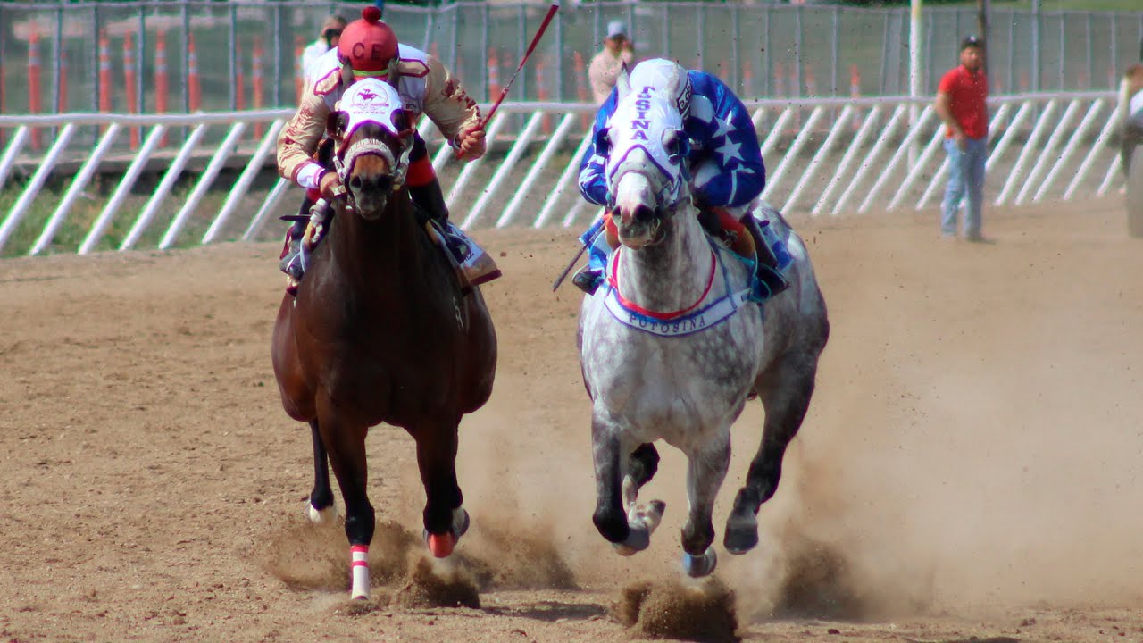 Carreras de Caballos en Ogden, Utah 04 de Mayo 2025