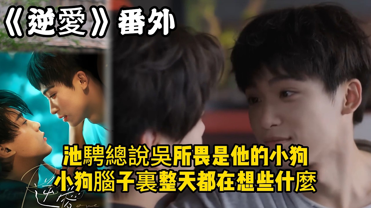 《逆愛》：番外！池騁總說吳所畏是他的小狗，小狗腦子裏整天都在想些什麼不健康的東西？#田栩宁 #梓渝 #吴所畏 #池骋 #逆爱 #revenged