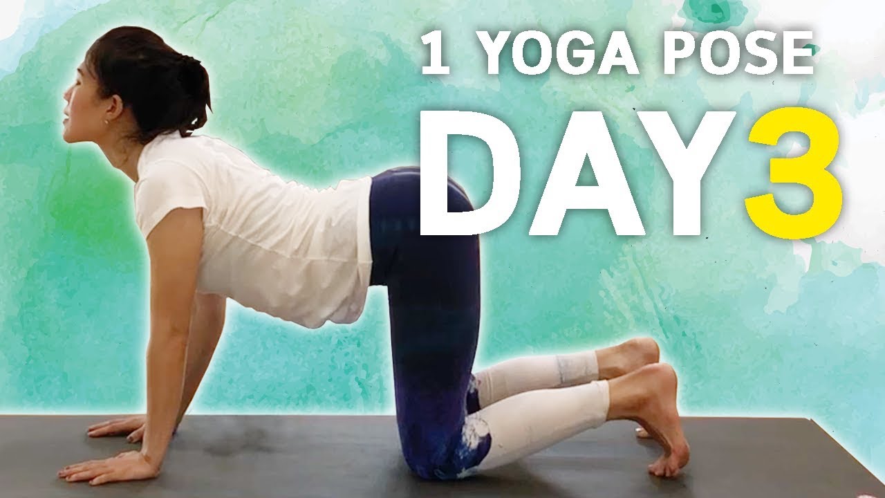 ฝึกโยคะ 1 ท่า (เกือบ) ทุกวัน Day3 Cat-Cow | โยคะเบื้องต้น kiartyoga