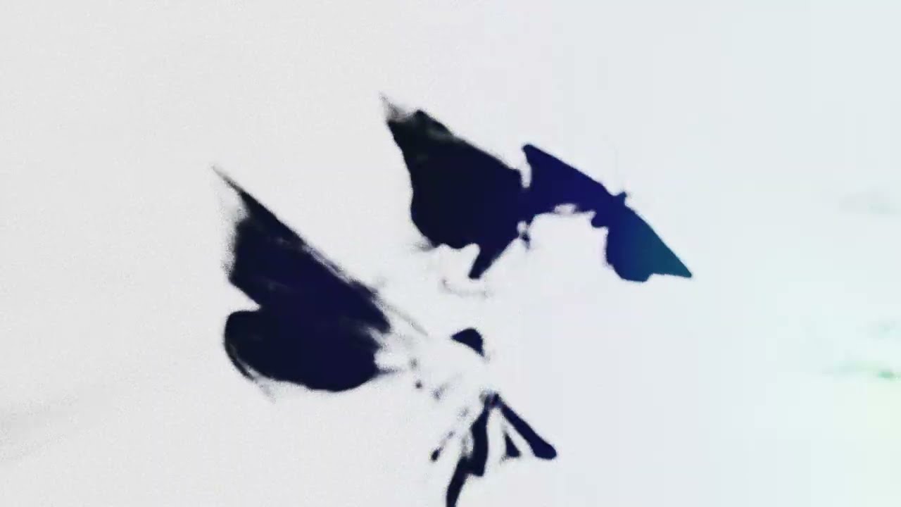 The WAEVE - Moth To The Flame (Official Visualiser)