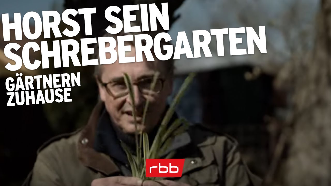 Gärtnern @ home: Diese DIY-Tricks sollte man kennen | Horst sein Schrebergarten