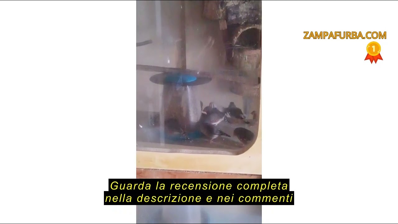 Recensione del Riga - Menu Premium per Uccelli Esotici - Miscela di Semi, Cereali e Proteine Vegetal