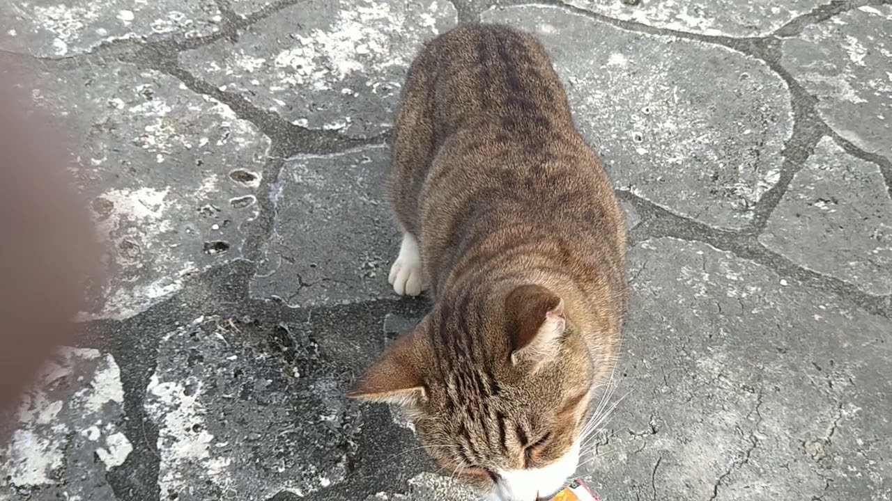 むんむん👅