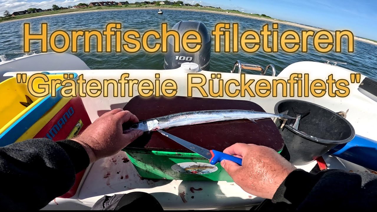 Hornfische filetieren - Grätenfreies Rückenfilet  #tutorial #fishing #angeln #diy