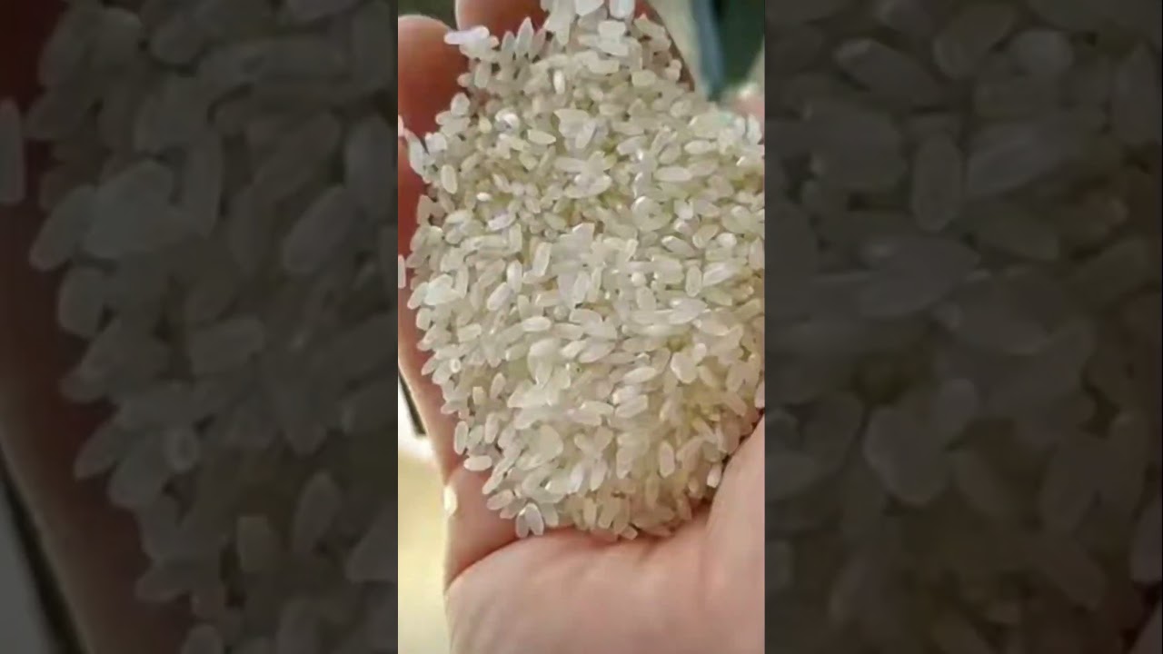 Mini rice mill operation #mill #separation #food #fmcg #shorts @craftspeople